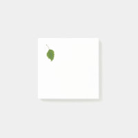 Feuille de bouleau