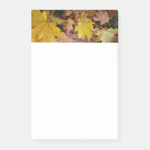 Post-it® Feuilles de Érable Tombées Jaune Automne Nature