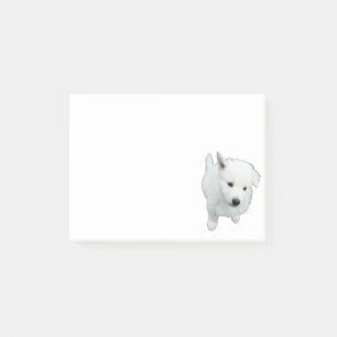 Post-it® Fluffy White Puppy Photographie