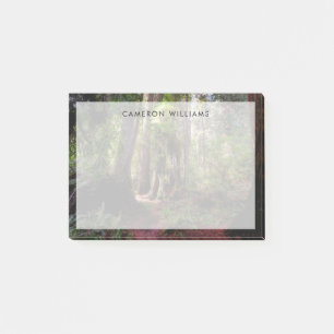 Post-it® Forest   Séquwood Forest California