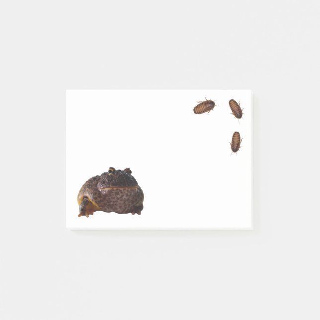 Post-it® Frog-it (Devant)