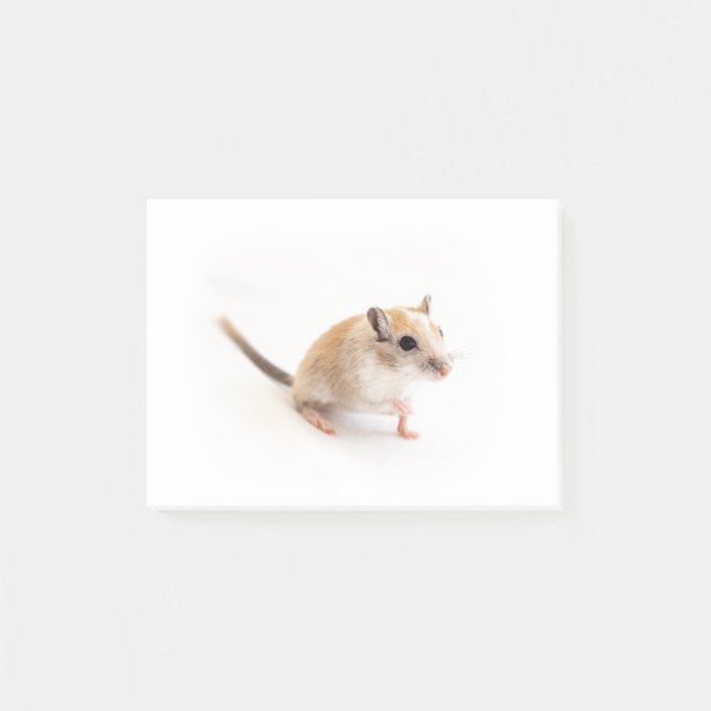 Post-it® Gerbil Cute Bébé Animal Animal Pet Gerbils Modèle (Devant)