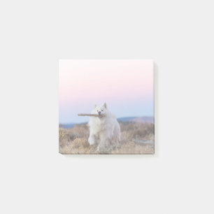 Post-it® Gestionnaire de succursales - Notes de post-it 3 p