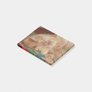 Post-it® Gingembre dormant doux garçon