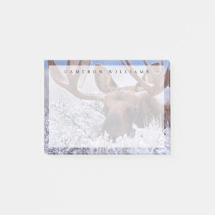 Post-it® Glace et neige   Grand Teton National Park, Wyomin