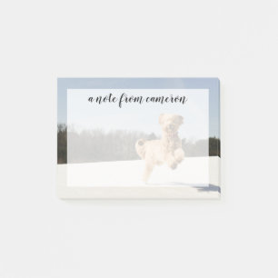 Post-it® Goldendoodle Traversant Le Champ