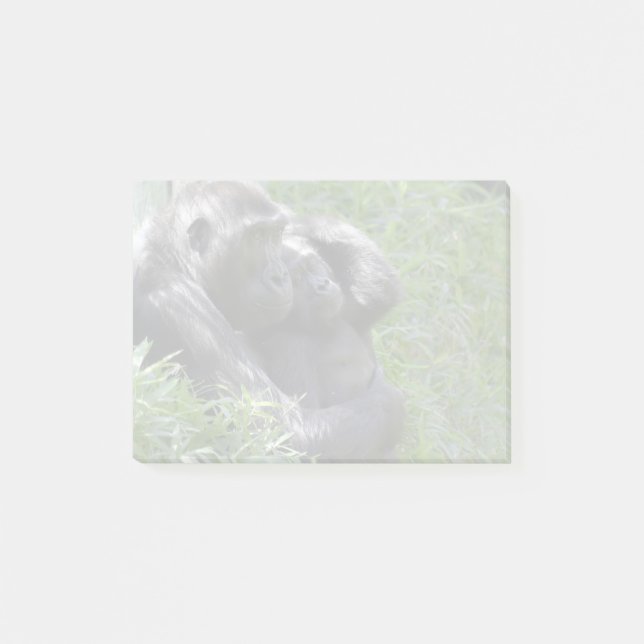 Post-it® Gorillas Kibibi et Moke au zoo national (Devant)