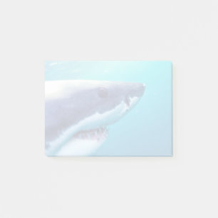 Post-it® Grand requin blanc Afrique du Sud