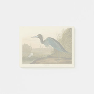 Post-it® Grue bleue Héron Impression Audubon Art côtier