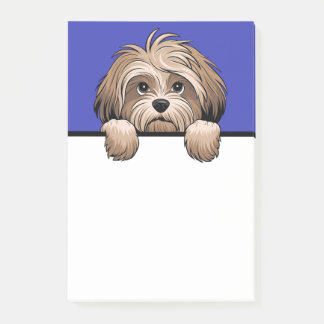 Post-it® Havanais mignon Havanais chiots Amoureux de les ch