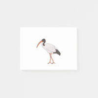 Ibis Bin Chicken Bird