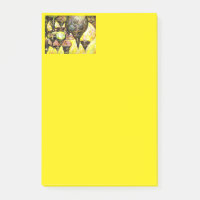 Idée encore plus grande de la couleur