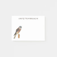 Illustration d'oiseau américain Kestrel