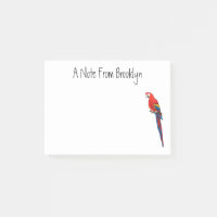 Illustration du perroquet de macaw Scarlet