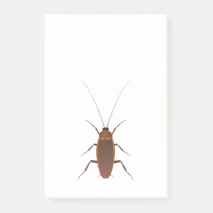 Post-it® Insecte Cockroach