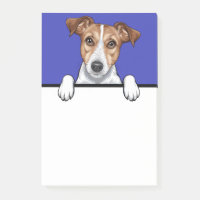 Jack Russell Terrier Peeking Amoureux de les chien