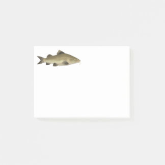 Post-it® Jaú Catfish