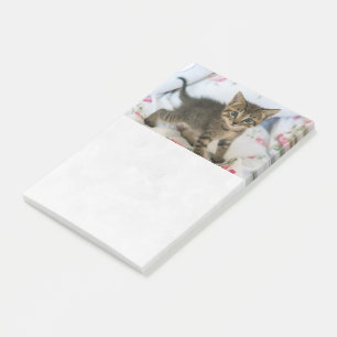 Post-it® Joli chaton tabby surpris