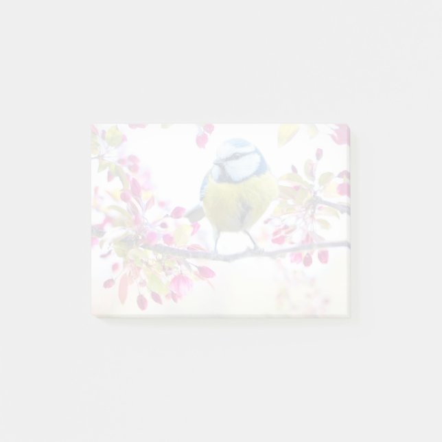Post-it® Joli oiseau bleu et jaune sur une branche Photogra (Devant)