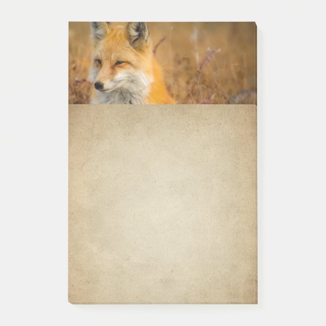 Post-it® Jote Red Fox Wilderness Nature Photographie (Devant)