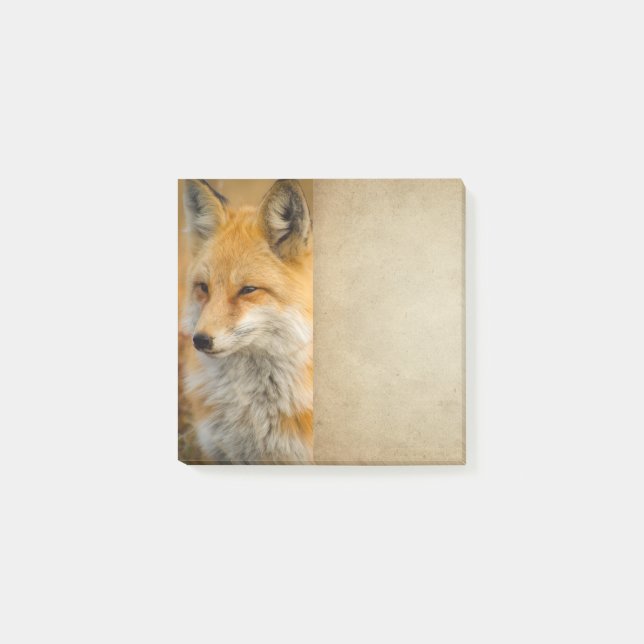 Post-it® Jote Red Fox Wilderness Nature Photographie Post-i (Devant)