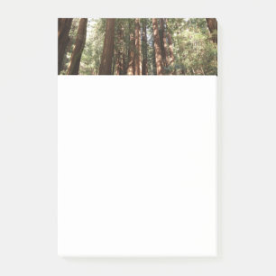 Post-it® Jusqu'aux séquoias II à Muir Woods National Monume