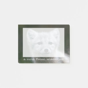 Post-it® Kit de Fox arctique des images   de Getty