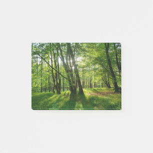 Post-it® La forêt au printemps