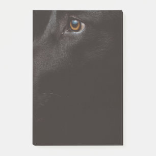 Post-it® laboratoire noir