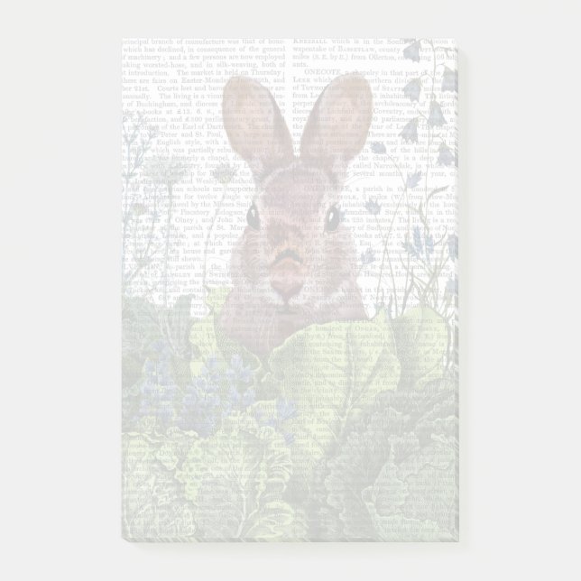 Post-it® Lapin dans une patte de chou (Devant)