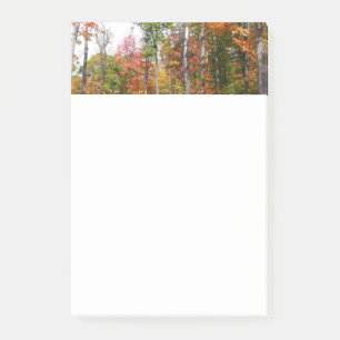 Post-it® L'automne dans la forêt Photographie d'automne col