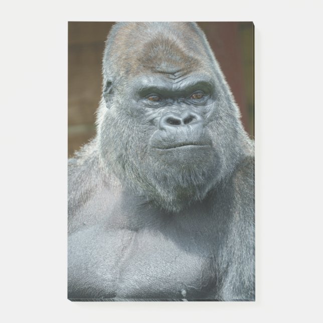 Post-it® Le Beau Silverback (Devant)