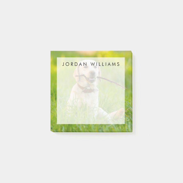 Post-it® Le Labrador Jaune se rapproche avec un bâton (Devant)