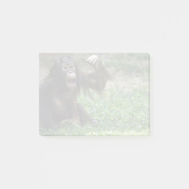 Post-it® Le rouge orangoutan au zoo national (Devant)