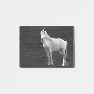 Post-it® LIN10BW le Stance.tif