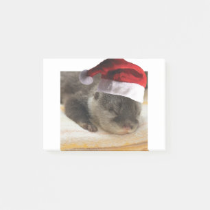 Post-it® Lot-dormant