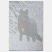 Loup noir
