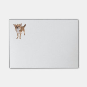 Post-it® Love Chihuahua Puppy Dog Post IT Sticky Notes