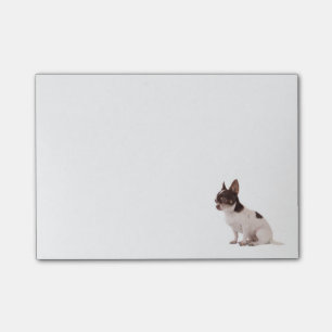 Post-it® Love Chihuahua Puppy Dog Post IT Sticky Notes