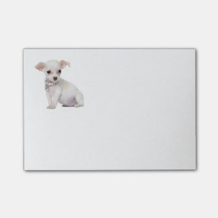 Post-it® Love Chihuahua Puppy Dog Post IT Sticky Notes