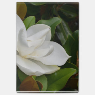 Post-it® Magnolia blanche