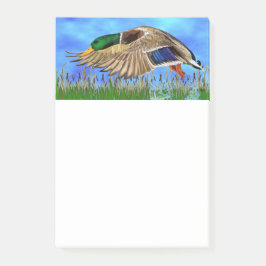 Post-it® Mallard Duck