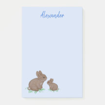 Maman mignonne avec bébé lapin dans du trèfle bleu