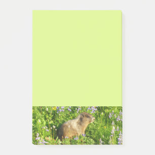 Post-it® Marmot dans le Mont Rainier Fleurs sauvages