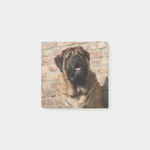 Post-it® Mastiff anglais