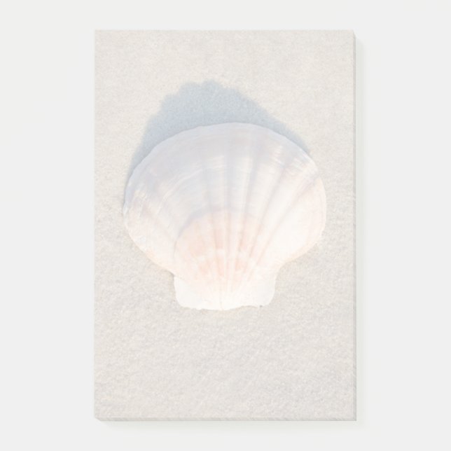 Post-it® Mer Shell s'étendant sur la plage sablonneuse (Devant)