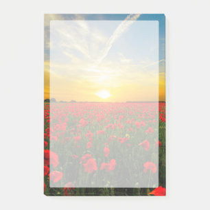 Post-it® Merveilleux champ de pavot Horizon du coucher du s