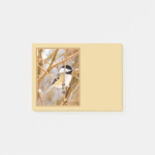 Post-it® Mésange à tête noire - Photographie originale