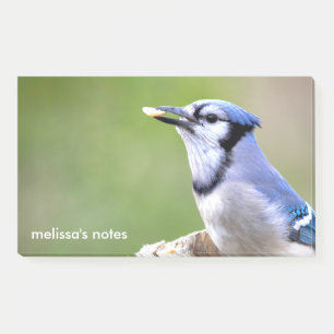 Post-it® Mignonne Bleu Jay Songbird avec cacahuète