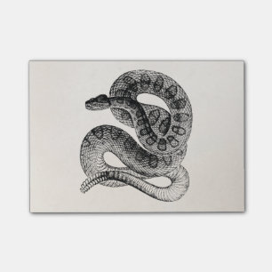 Post-it® Modèle vintage de serpent de reptile de serpent à